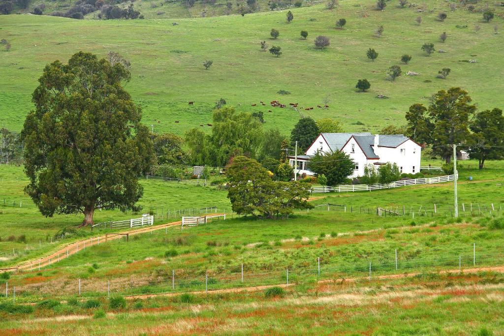 Roslyn House Bed & Breakfast Bushy Park 外观 照片