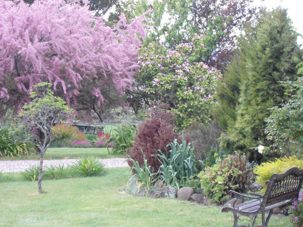Roslyn House Bed & Breakfast Bushy Park 外观 照片
