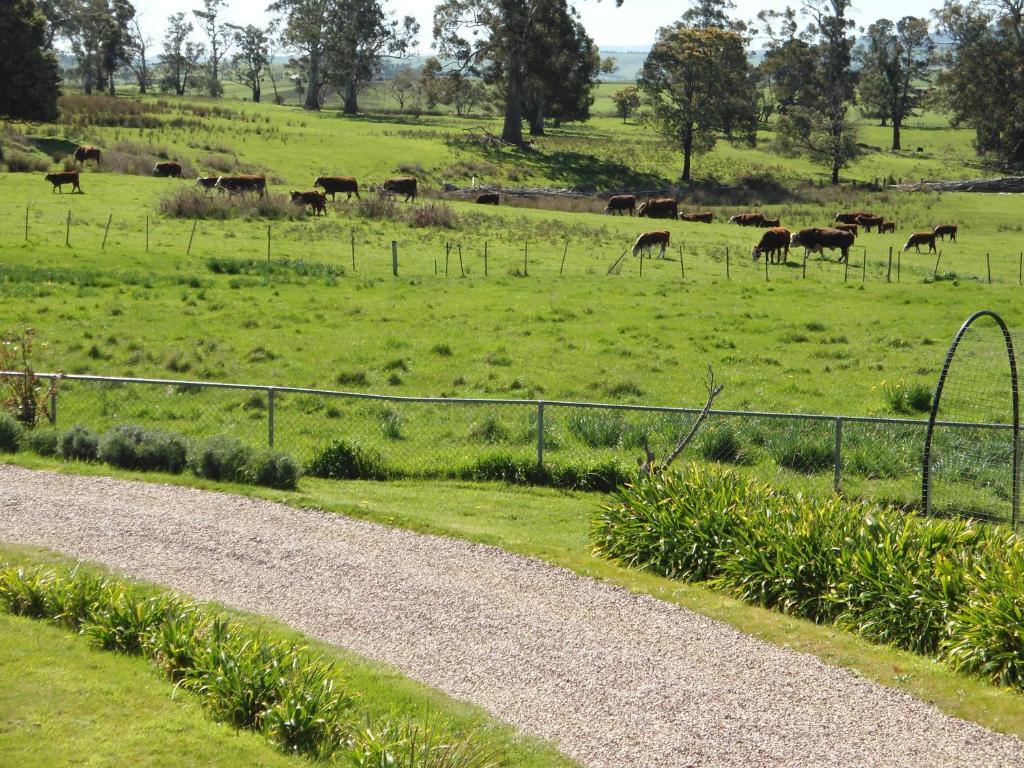 Roslyn House Bed & Breakfast Bushy Park 外观 照片