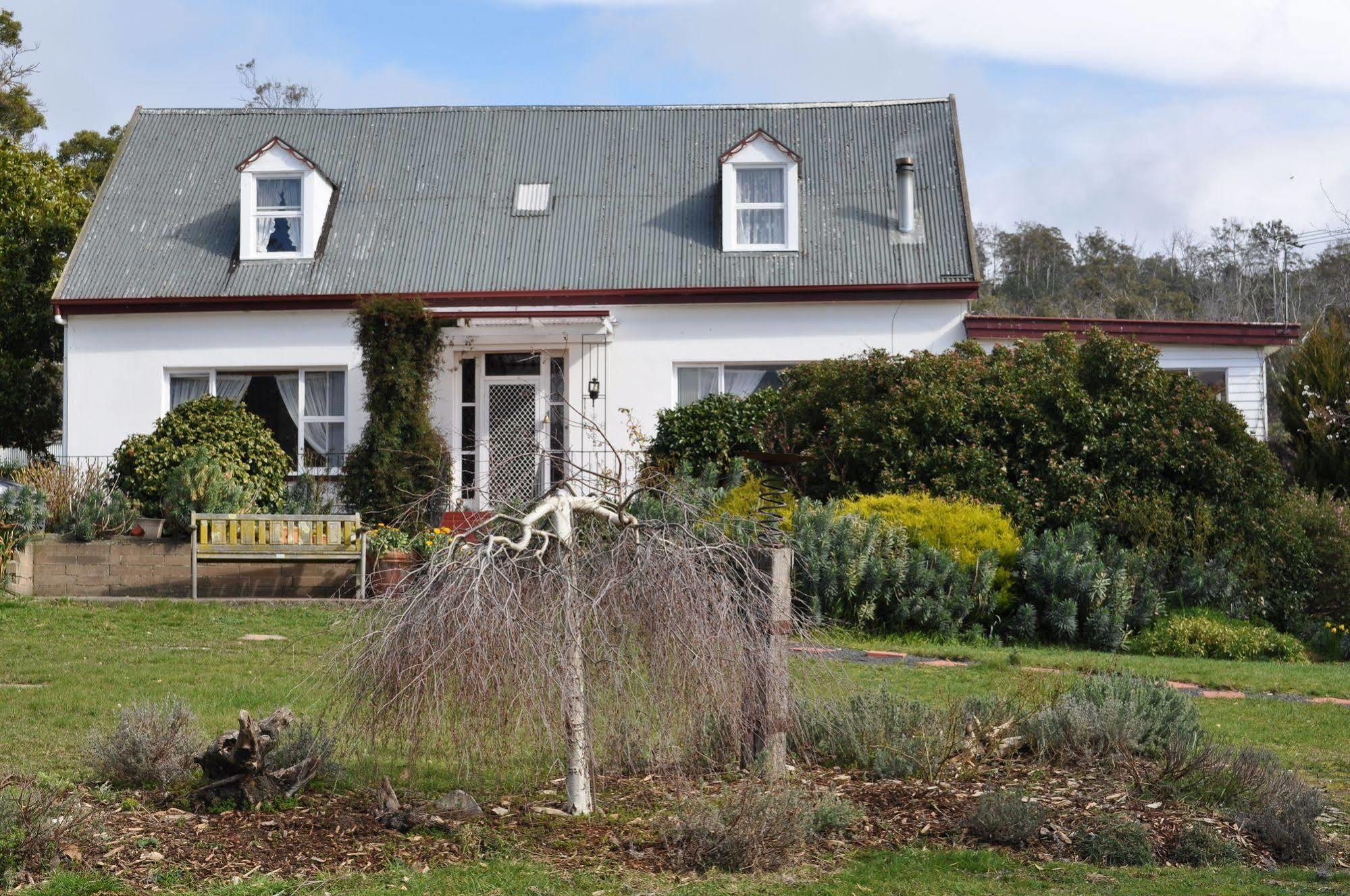 Roslyn House Bed & Breakfast Bushy Park 外观 照片