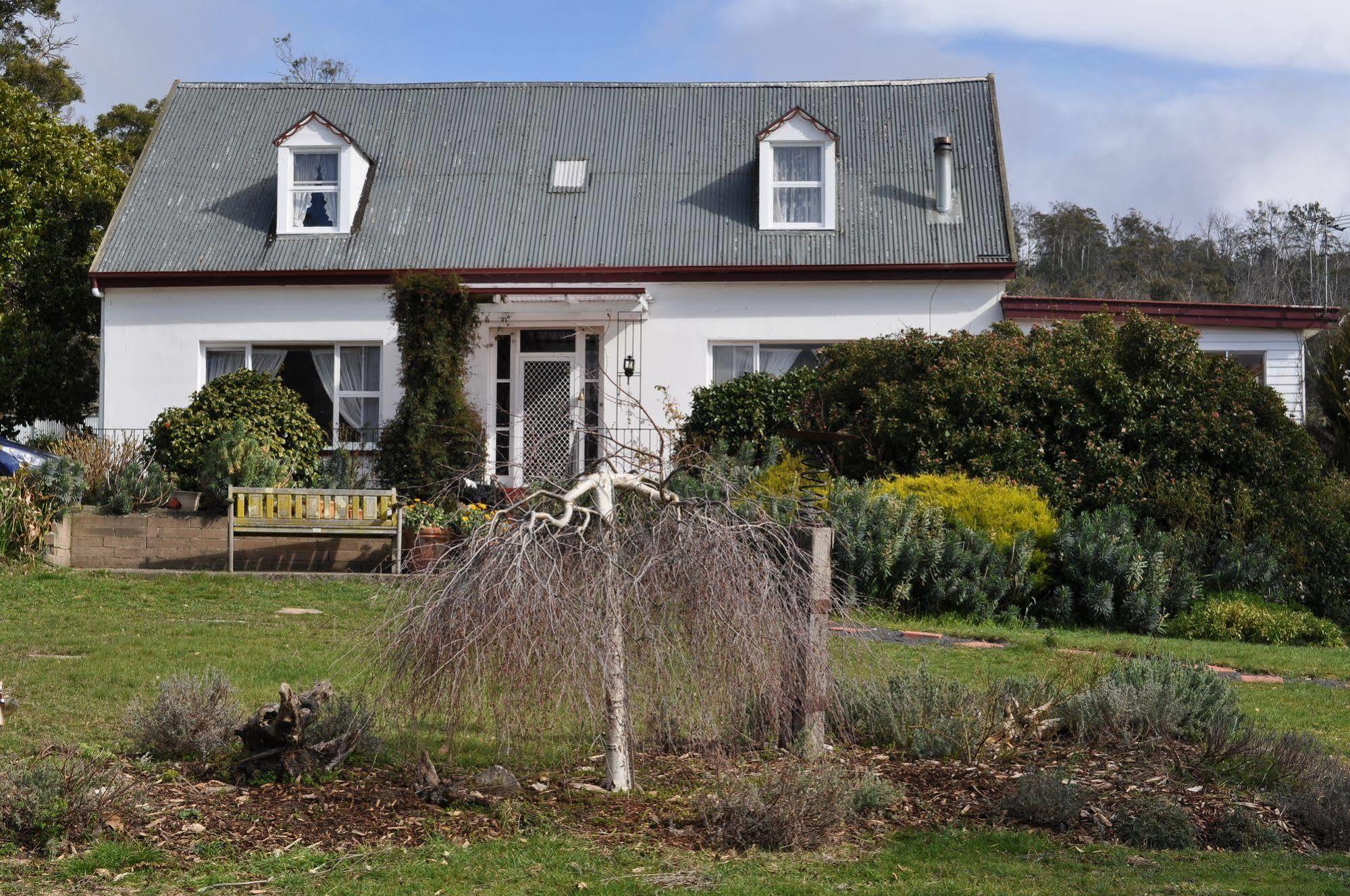 Roslyn House Bed & Breakfast Bushy Park 外观 照片