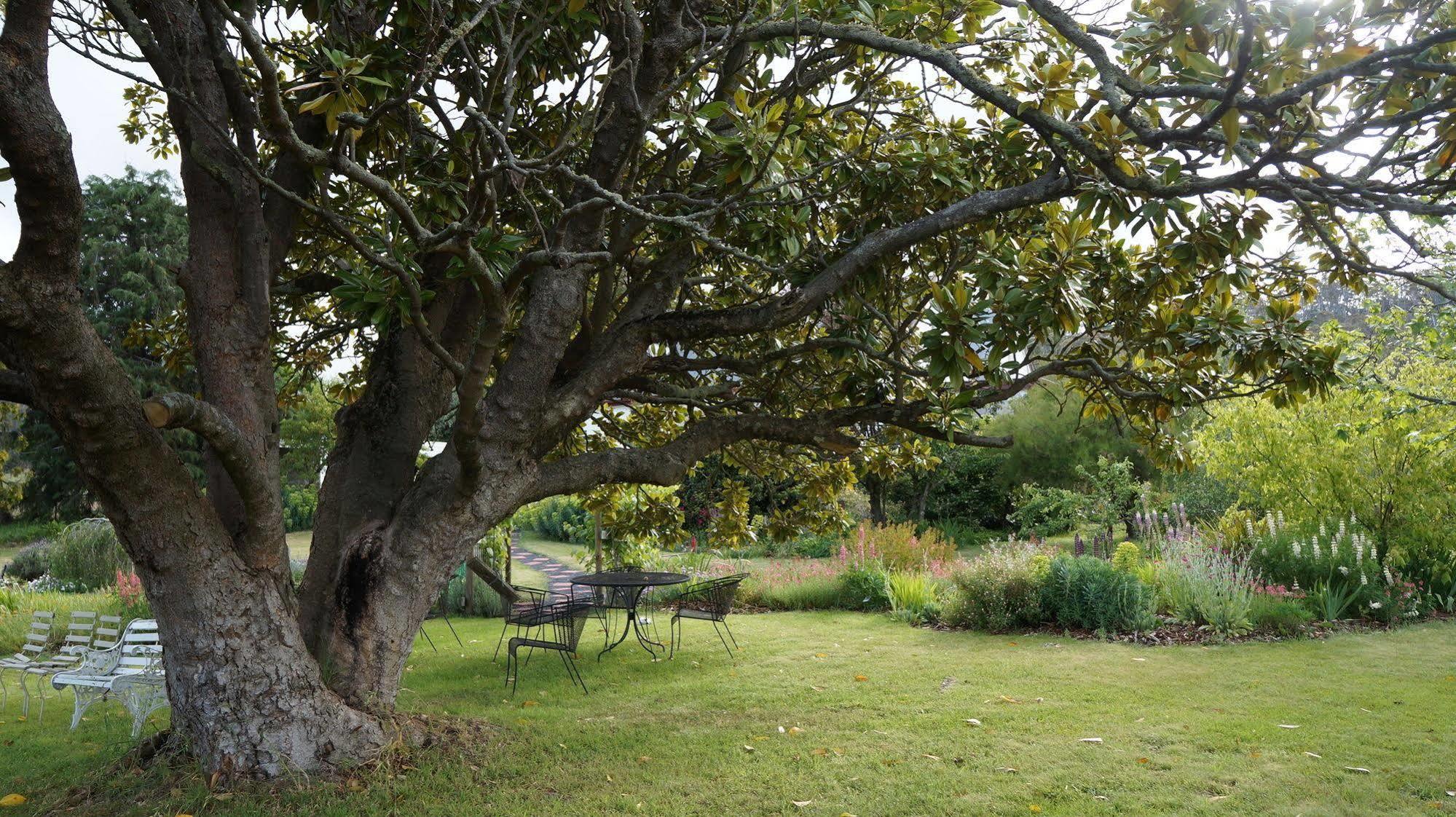 Roslyn House Bed & Breakfast Bushy Park 外观 照片