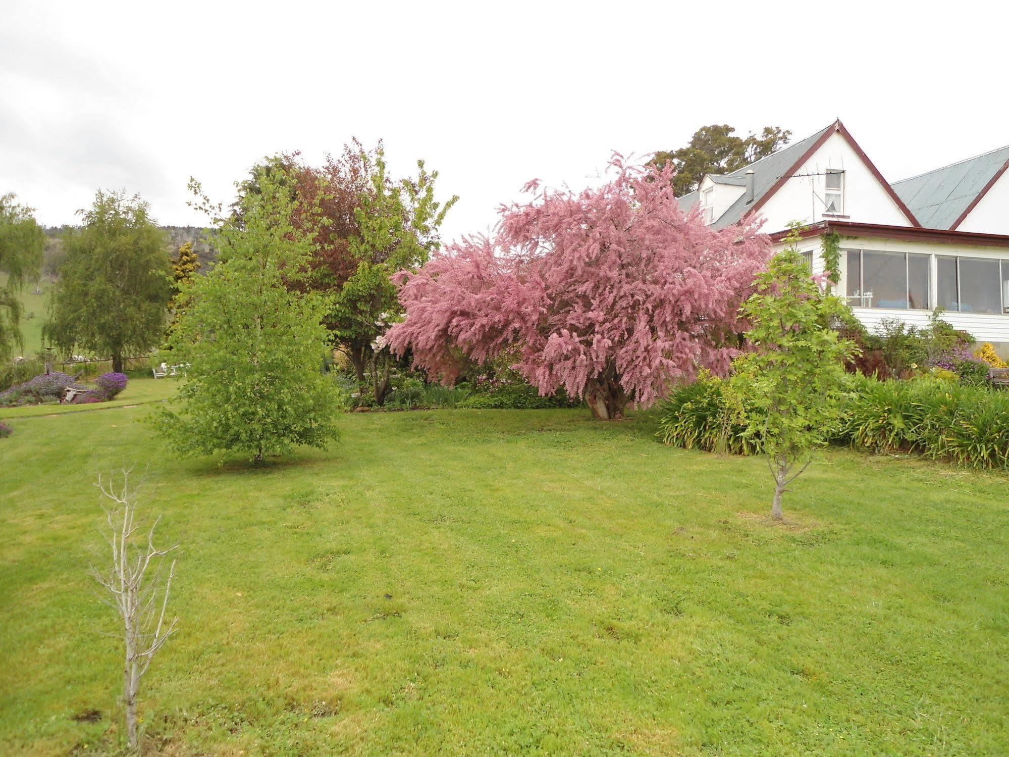 Roslyn House Bed & Breakfast Bushy Park 外观 照片