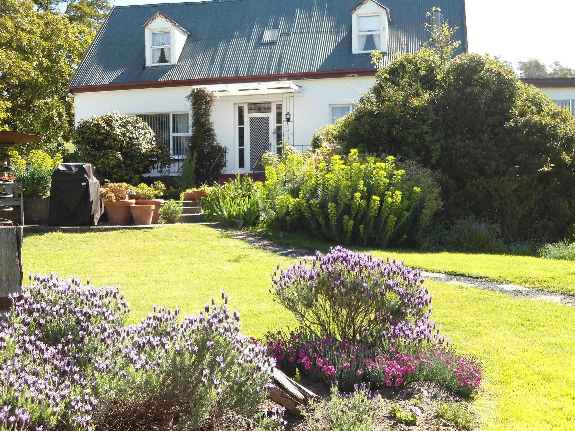 Roslyn House Bed & Breakfast Bushy Park 外观 照片