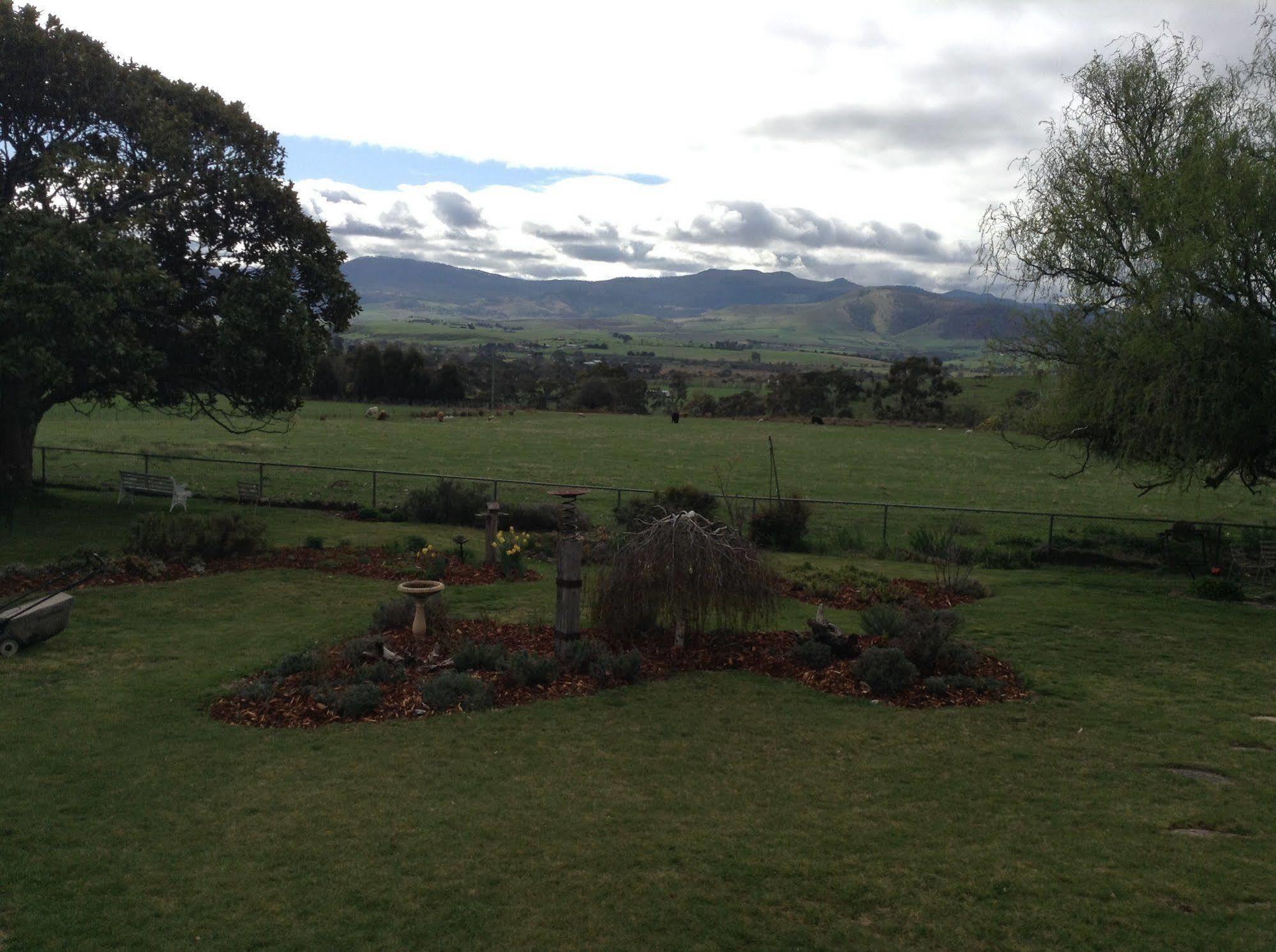 Roslyn House Bed & Breakfast Bushy Park 外观 照片