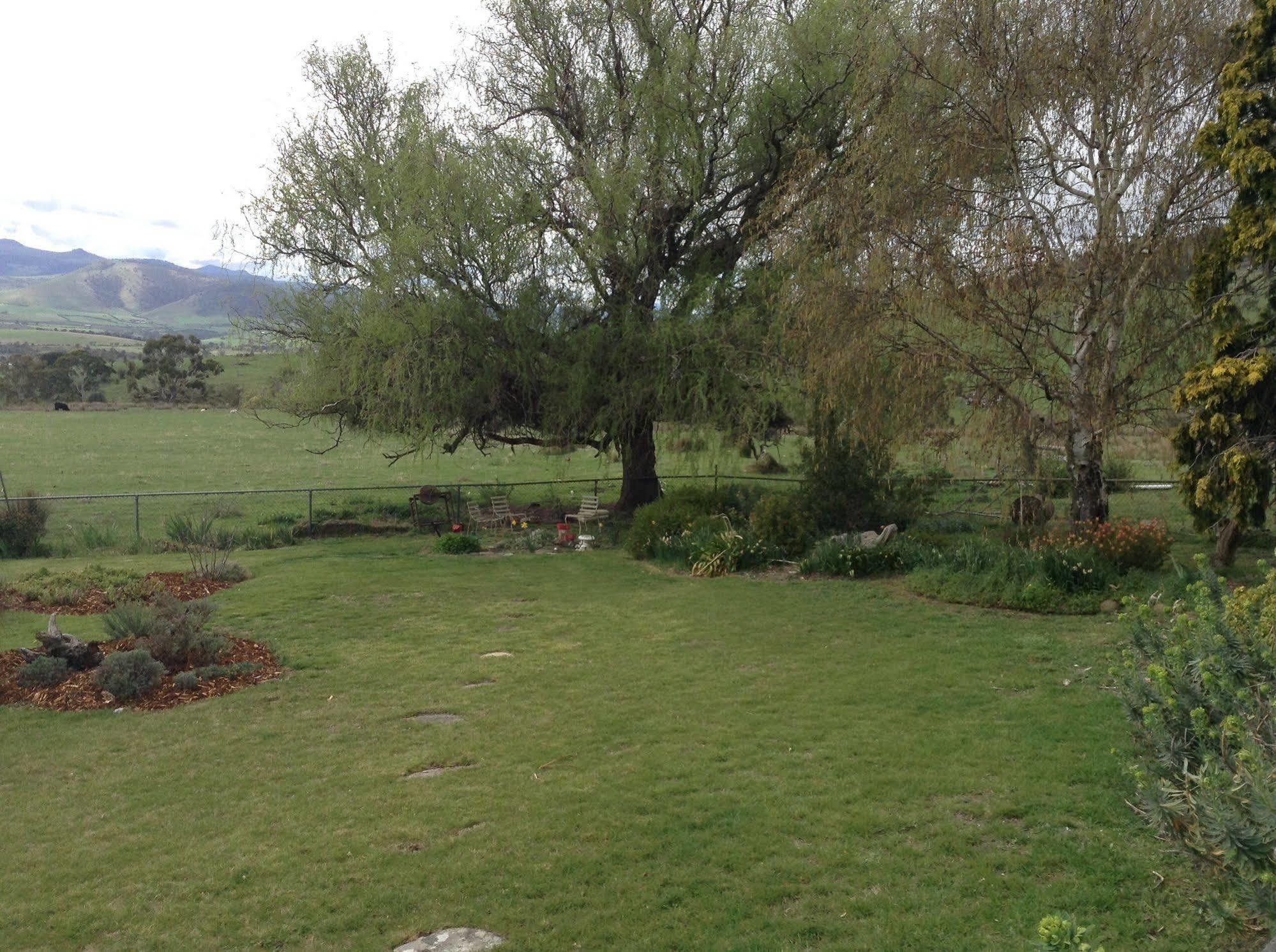 Roslyn House Bed & Breakfast Bushy Park 外观 照片